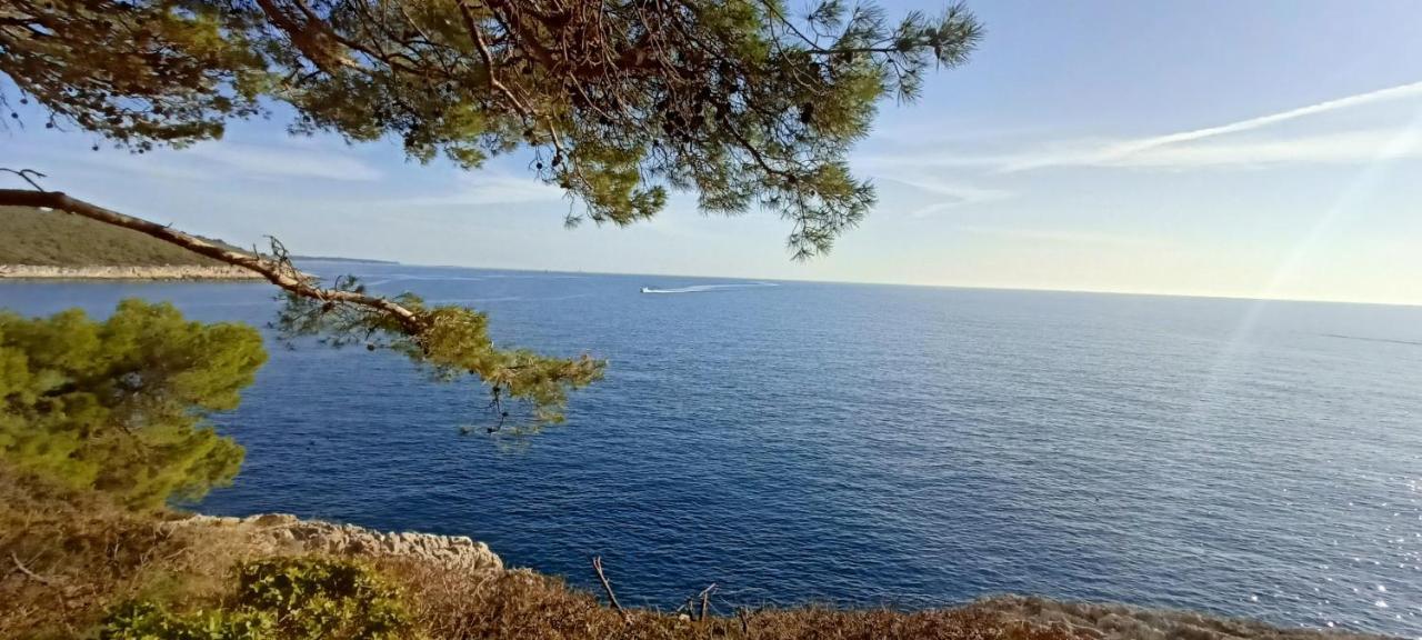 Apartmán Luton Banjole Exteriér fotografie